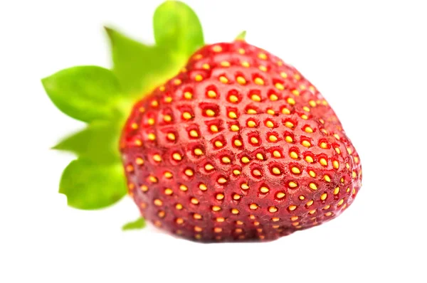 Erdbeere Auf Hellem Hintergrund — Stockfoto
