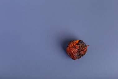 Gri-mavi arka planda yukarıdan çürük elma. Bozuk yemek..