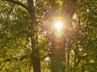 güzel sıcak güneşin