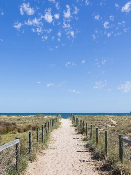 Песчаная дорога к морю в Австралии — стоковое фото