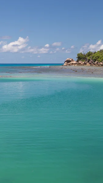 Dikey deniz manzarası, Seyşel Adaları — Stok fotoğraf