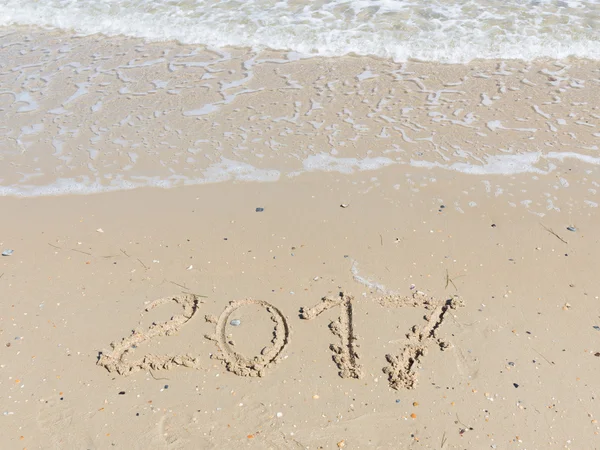 Sarı kum kitabe 2017