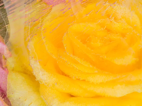 Abstração com uma rosa amarela — Fotografia de Stock