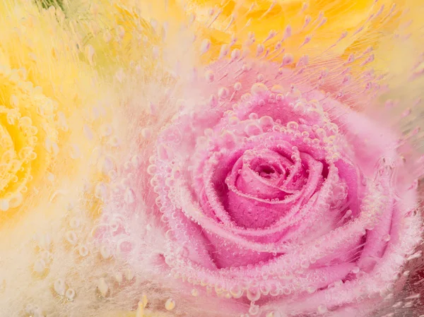 Pink abstraction with rose — Stock Photo, Image