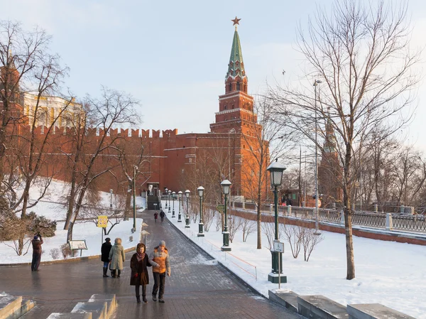Invierno en los Jardines Alexander y Moscú —  Fotos de Stock