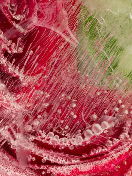 Abstracción con rosa roja — Foto de Stock