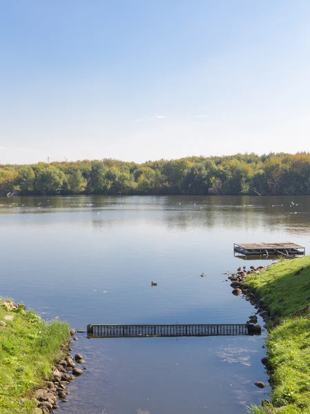 Oiseaux sur la rivière — Photo