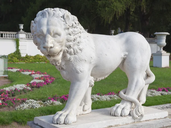 Scultura leone in piedi — Foto Stock