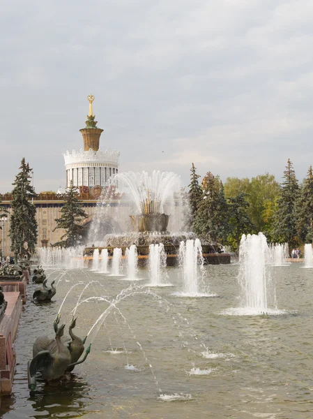 Fountain Stone flower — Stock Photo, Image