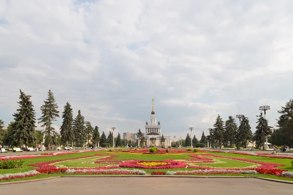 Beautiful flowers on the lawn and people walk — Stock Photo, Image