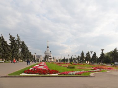 çiçekler çim ve insanlar üzerinde yürümek 