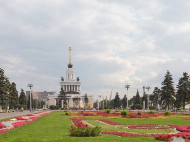 bahçede çiçek peyzaj