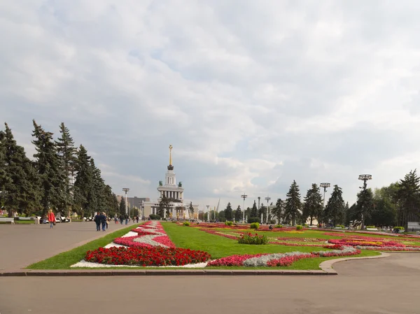 Цветы на лужайке и люди ходят — стоковое фото