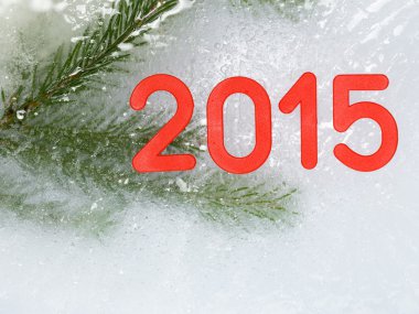 Kırmızı sayılar 2015