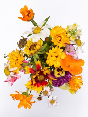 summer floral bouquet  clipart