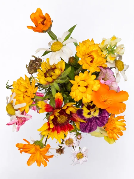 Summer floral bouquet — Stock Photo, Image