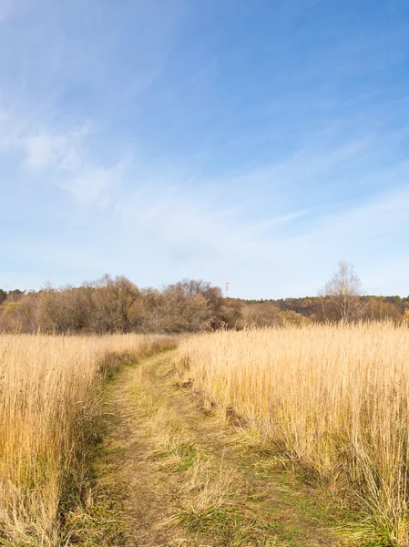 Oktober in Russland — Stockfoto