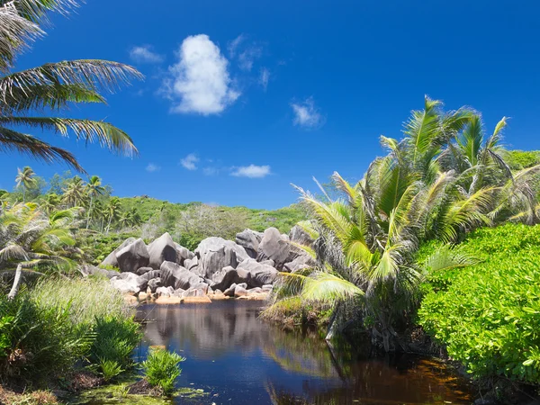 Río claro en las Seychelles —  Fotos de Stock