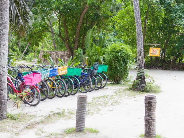 Fiets parkeren in een tropische park — Stockfoto