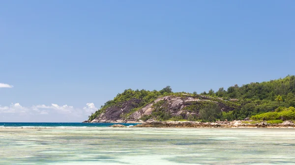 Arrecife de coral grande — Foto de Stock