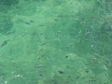 ışığın kırılma