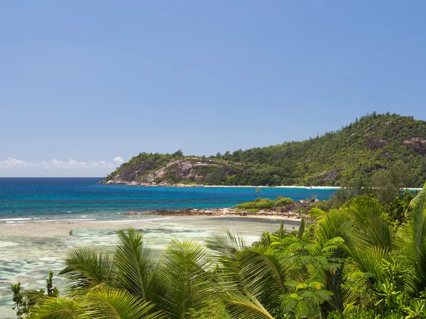 Coral reef — Stock Photo, Image