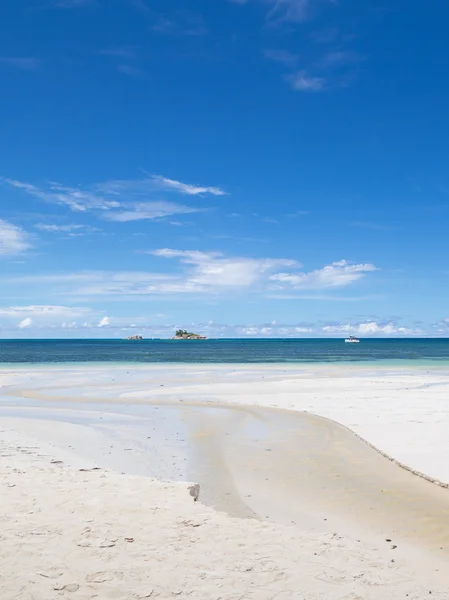 River meets the sea — Stock Photo, Image