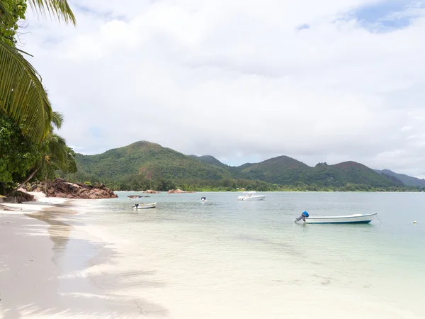 White sand beach — Stock Photo, Image