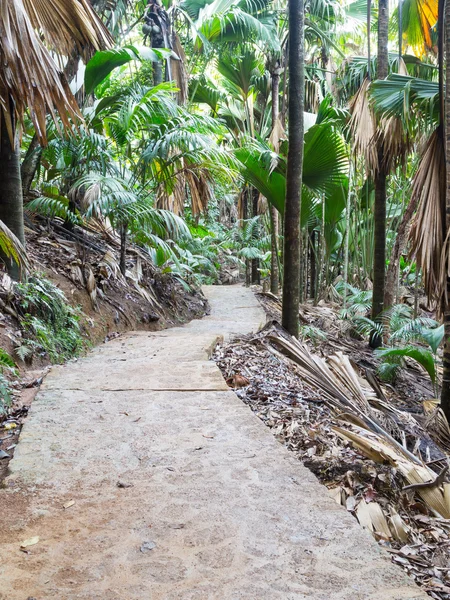 Caminho de pedra — Fotografia de Stock