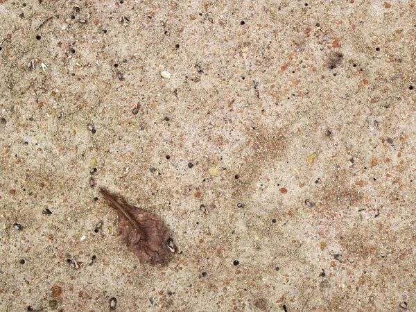 Liang kepiting — Stok Foto