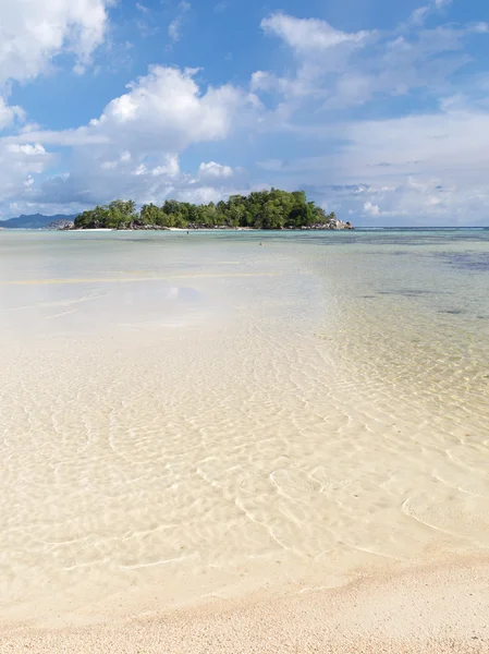 Isla con palmeras — Foto de Stock