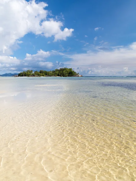 Isla con palmeras de coco — Foto de Stock