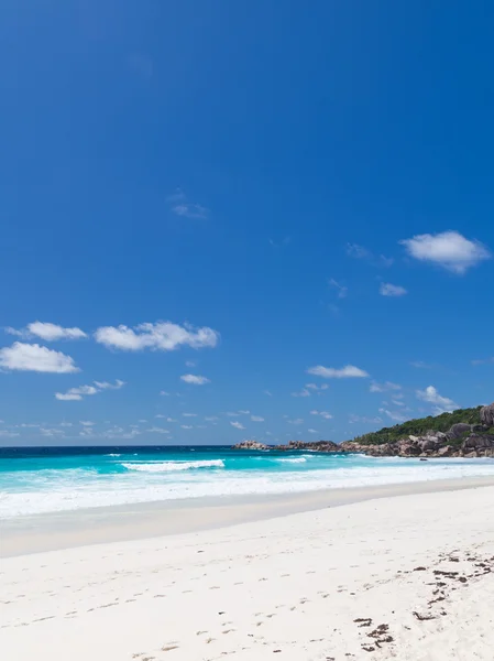 Beach — Stock Photo, Image