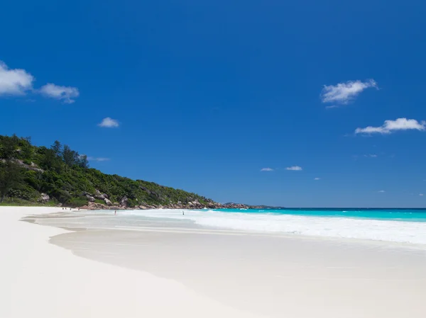 LANGFRISK BEACH - Stock-foto