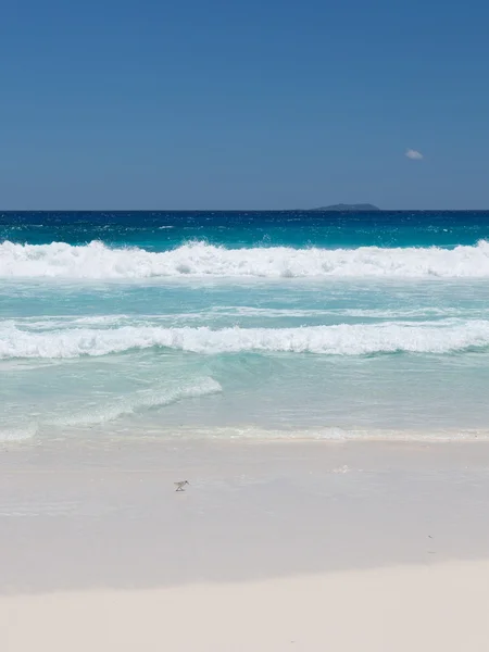 Weißer Sandstrand — Stockfoto