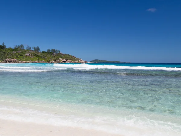 Spiaggia di cocco — Foto Stock