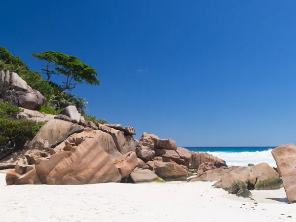 Sabbia corallina bianca alle Seychelles — Foto Stock