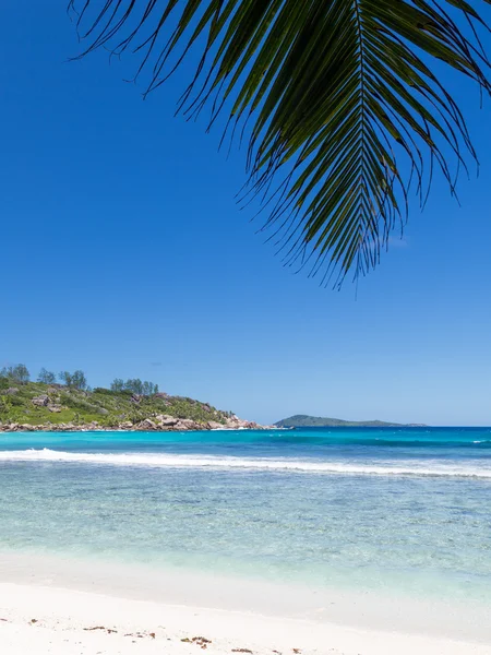 Belle plage propre avec des eaux claires et des feuilles de palmier — Photo