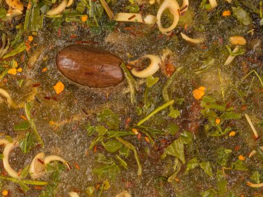 baharat ve küçük Hindistan cevizi