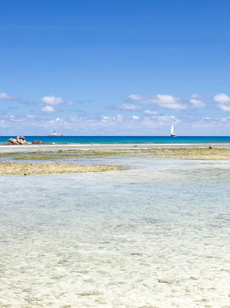 Island and sailing on the horizon — Stock Photo, Image