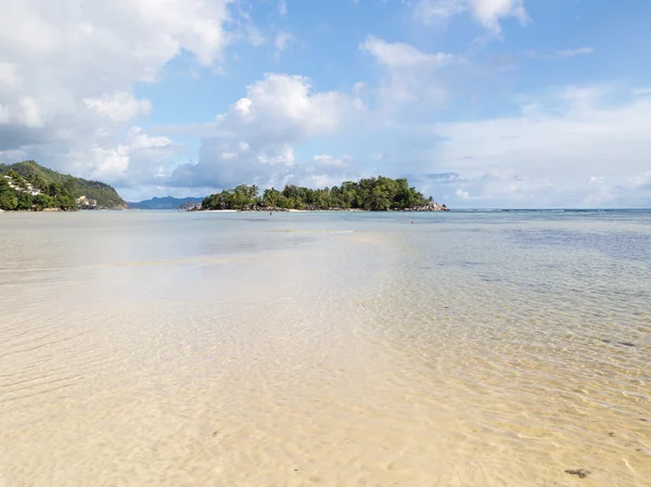 Île tropicale avec palmiers — Photo