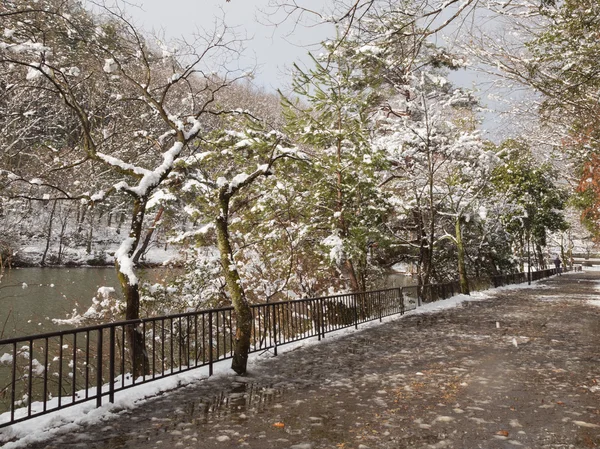 城市公园里的雪 — 图库照片