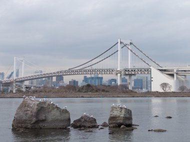 Gökkuşağı Köprüsü ve kayalar