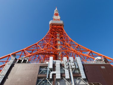 beautiful tower in Tokyo clipart