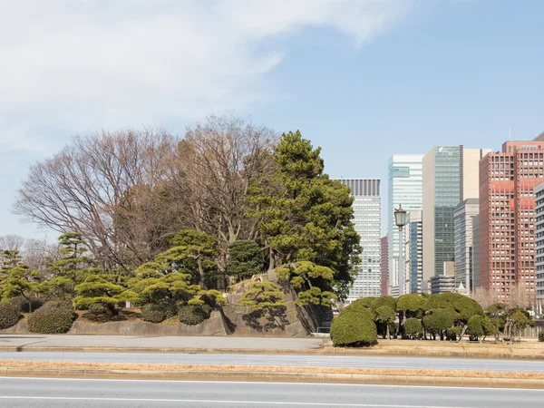 Tokyo'da parkı — Stok fotoğraf