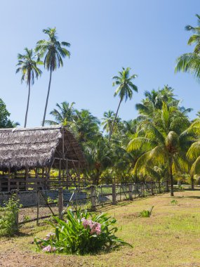 Dikey tropikal peyzaj