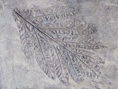 Büyük gri yazdırma bitki yaprak