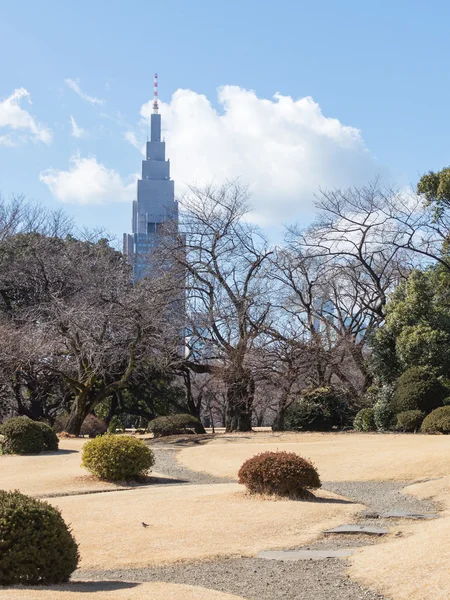 Vackra japanska park — Stockfoto