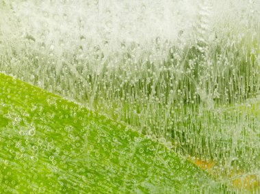 yeşil yüzey üzerinde kabarcıklar