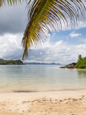 dikey güzel deniz manzarası